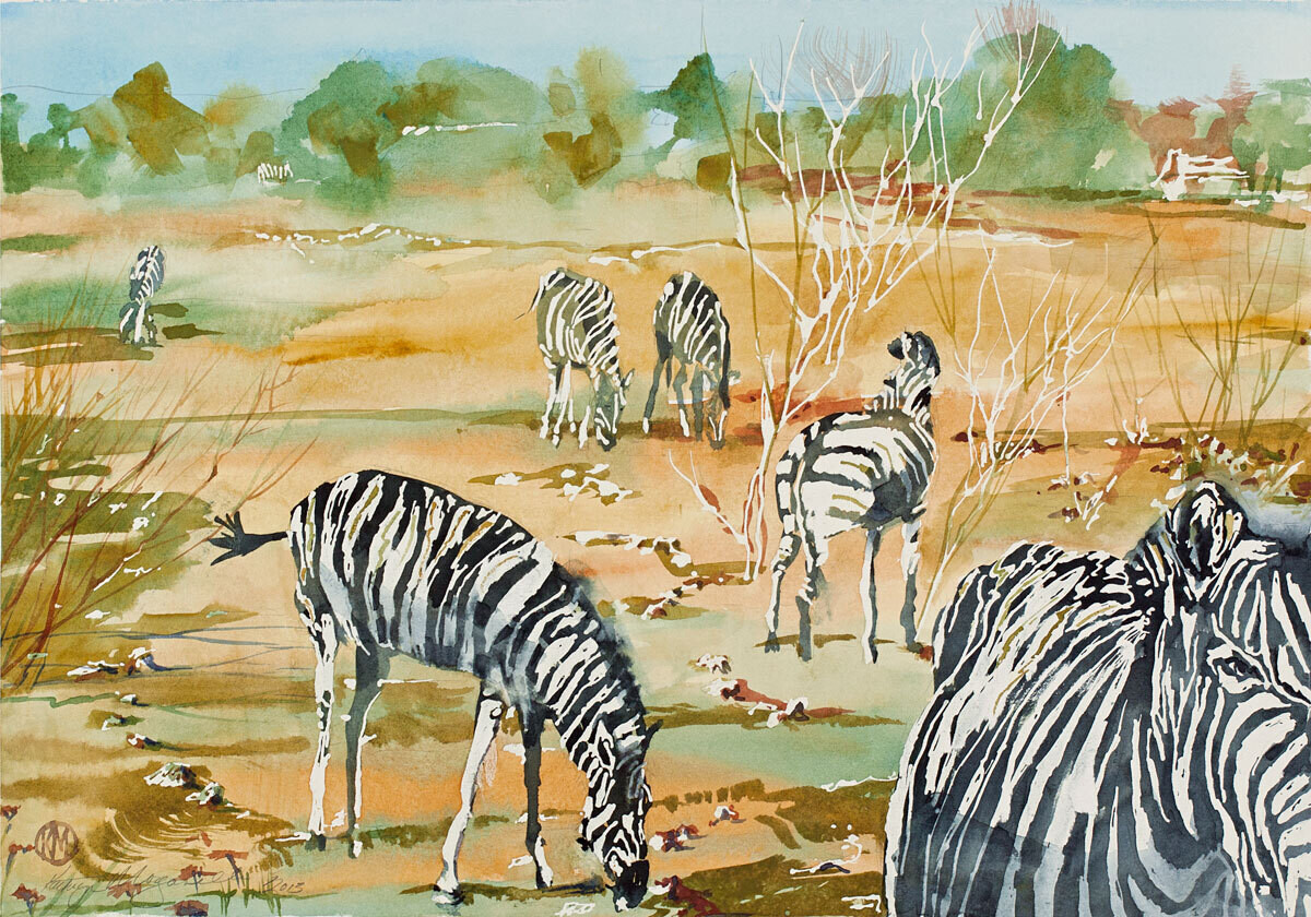 Kathy Morganelli - Tribute To Team Zebra 11.875&quot; x 17&quot;