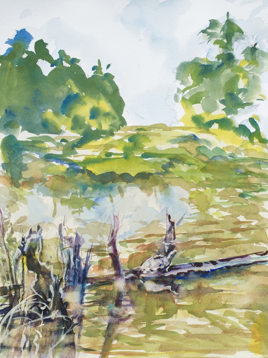 Kathy Morganelli - &quot;Turtles at Wetland Overlook&quot; - 12&quot; x 16&quot;T