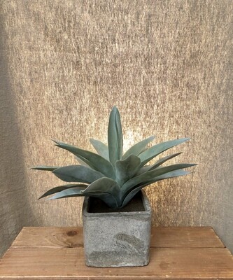 Artificial Succulent in Square Pot - Lg I