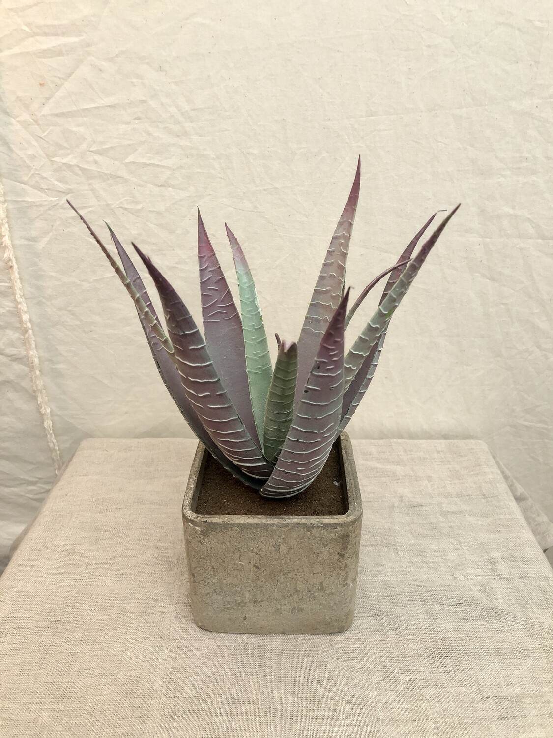 Artificial Succulent in Square Pot - Lg II Artificial Succulent in Square Pot - Lg II
