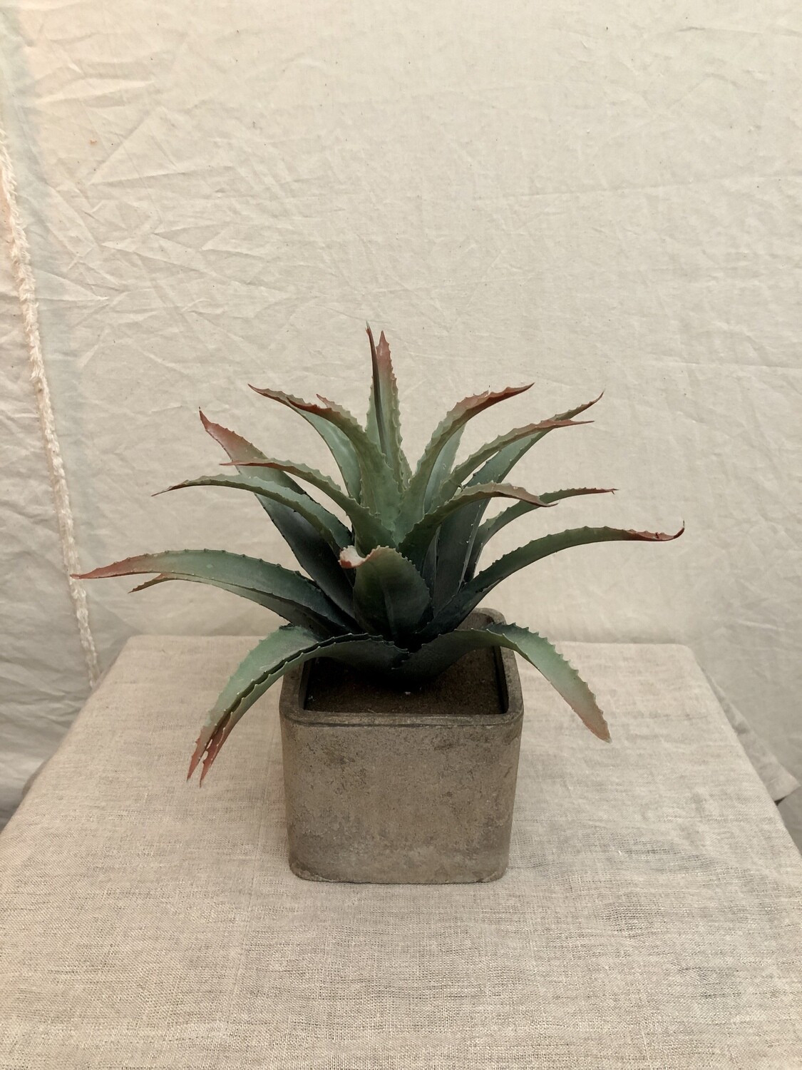 Artificial Succulent in Square Pot - Lg III Artificial Succulent in Square Pot - Lg III