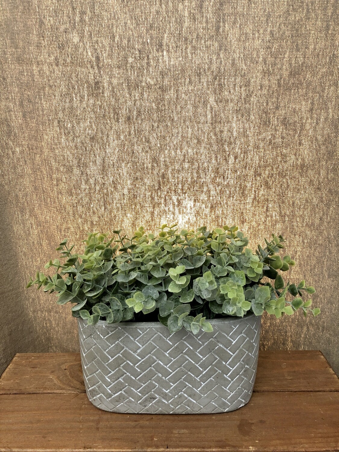 Artificial Eucalyptus in Cement Pot