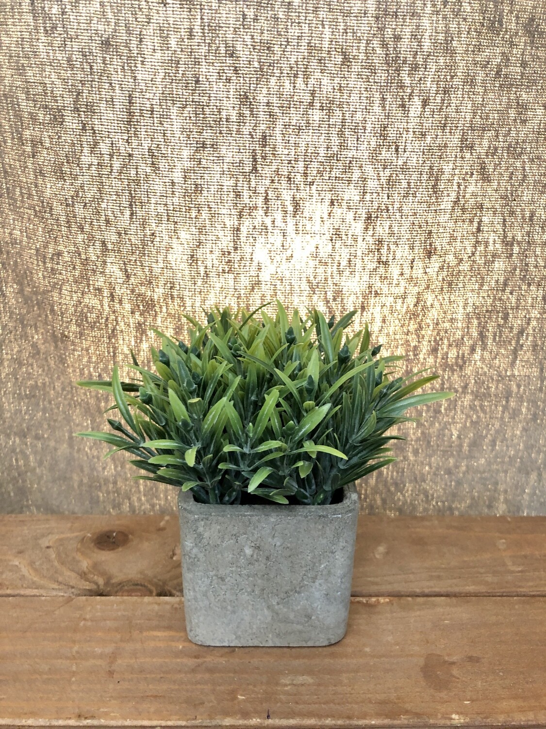 Small Artificial Succulent in Square Pot I Small Artificial Succulent in Square Pot I