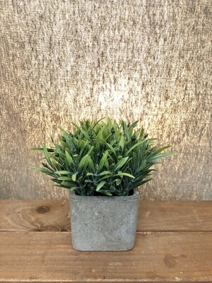 Small Artificial Succulent in Square Pot I Small Artificial Succulent in Square Pot I