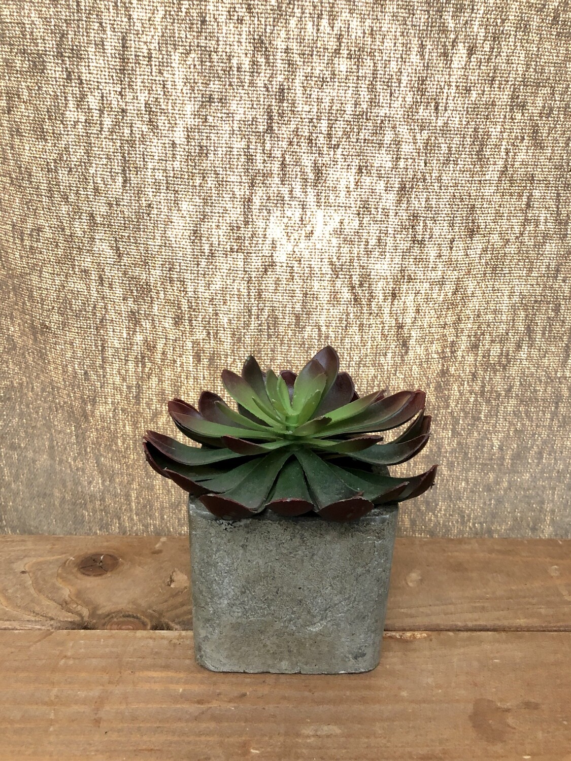 Small Artificial Succulent in Square Pot II