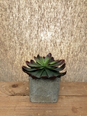 Small Artificial Succulent in Square Pot II Small Artificial Succulent in Square Pot II