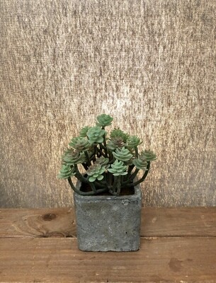Small Artificial Succulent in Square Pot III Small Artificial Succulent in Square Pot III