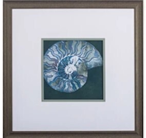 Nautilus I Nautilus I