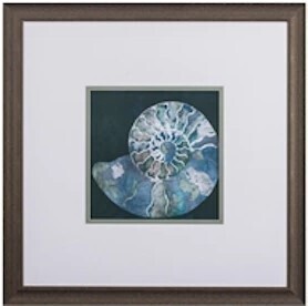 Nautilus II