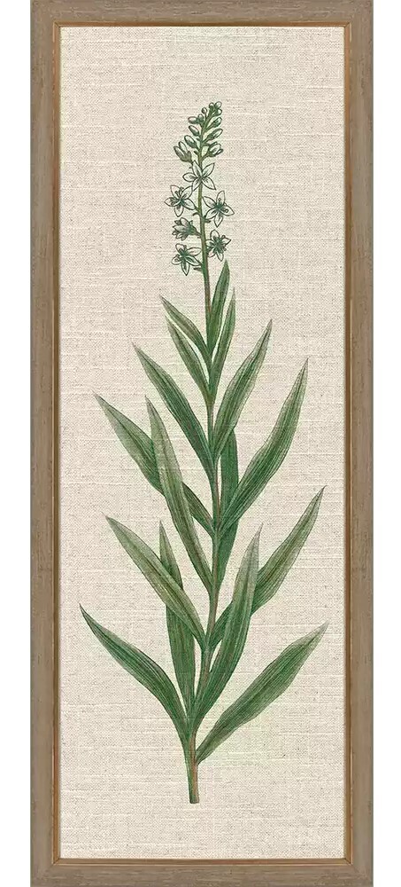 Blue Botanicals II Blue Botanicals II