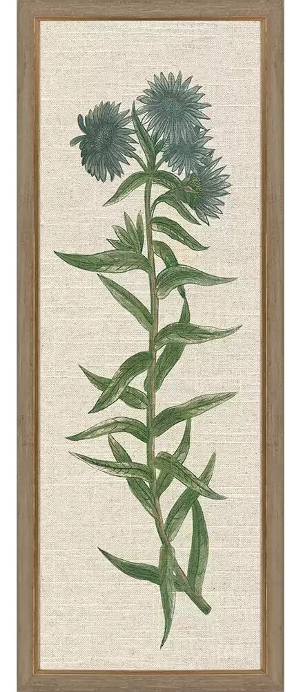 Blue Botanicals I
