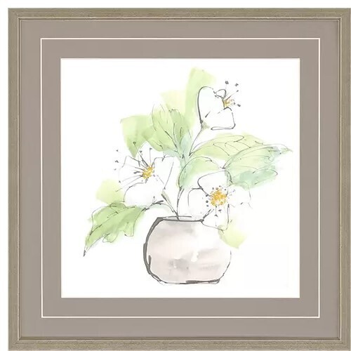 Plant - Magnolia I