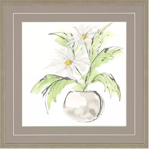 Plant - Daisy II