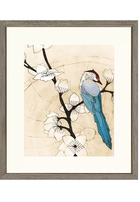 Summer Bird