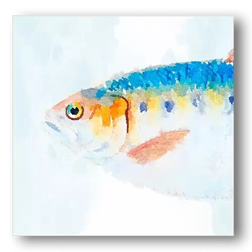 Fish Heads III