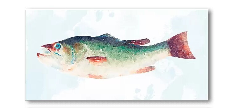 Samaki I