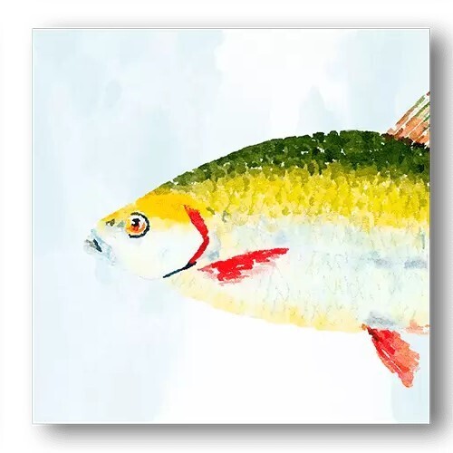Fish Heads IV