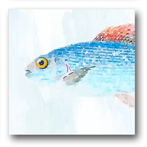 Fish Heads VII