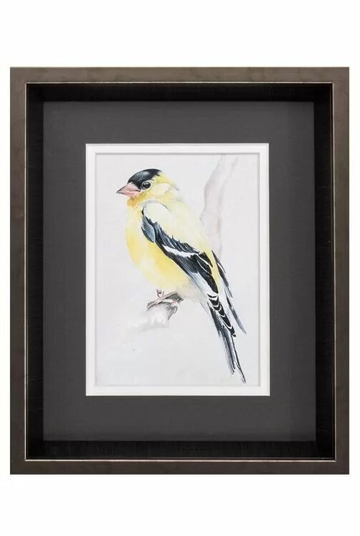 Bird On Branch II