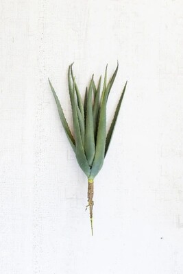 Artificial Aloe Stem Artificial Aloe Stem