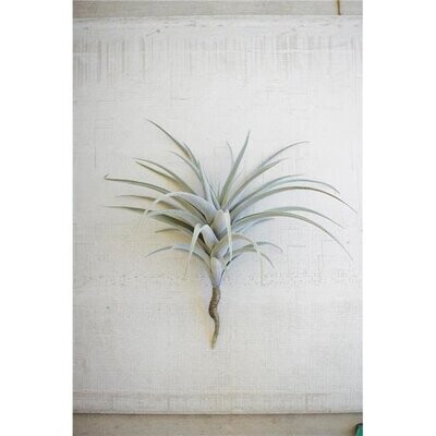 Giant Artificial Air Plant