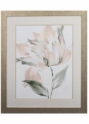 Pink Hibiscus II