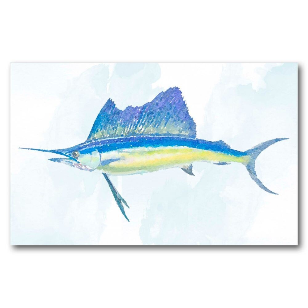 Sailfish