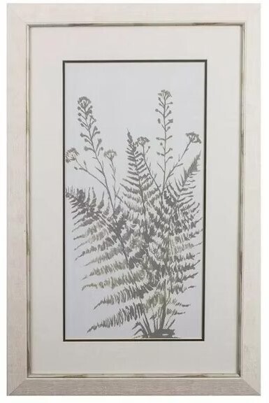 Friendly Fern II Friendly Fern II