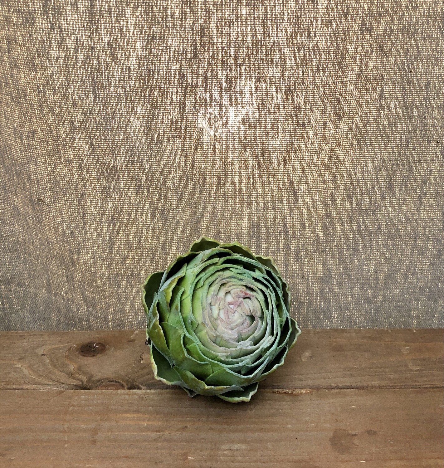 Artichoke GR/TT 3.5" x 4T Artichoke GR/TT 3.5" x 4T
