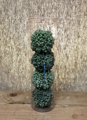 S/4 Sedum Orbs 2.25" S/4 Sedum Orbs 2.25"