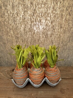 S/6 Carrots in Egg Carton 5"T S/6 Carrots in Egg Carton 5"T