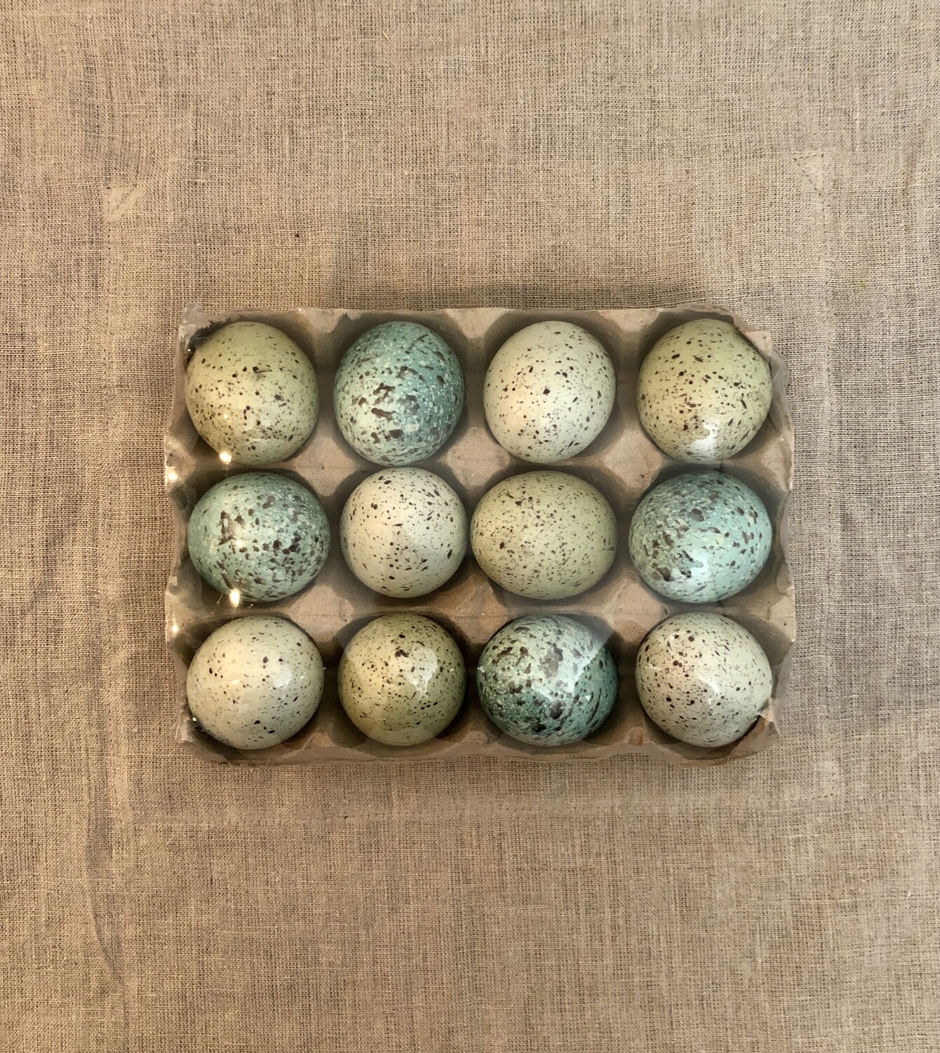 S/12 Assorted Eggs in Carton Aqua