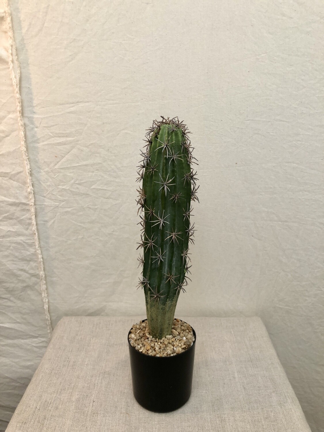Artificial Cactus in a Black Plastic Pot w/Single Stem Artificial Cactus in a Black Plastic Pot w/Single Stem