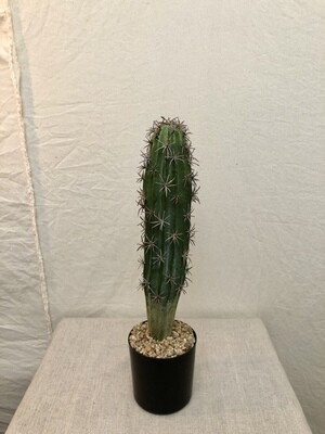 Artificial Cactus in a Black Plastic Pot w/Single Stem