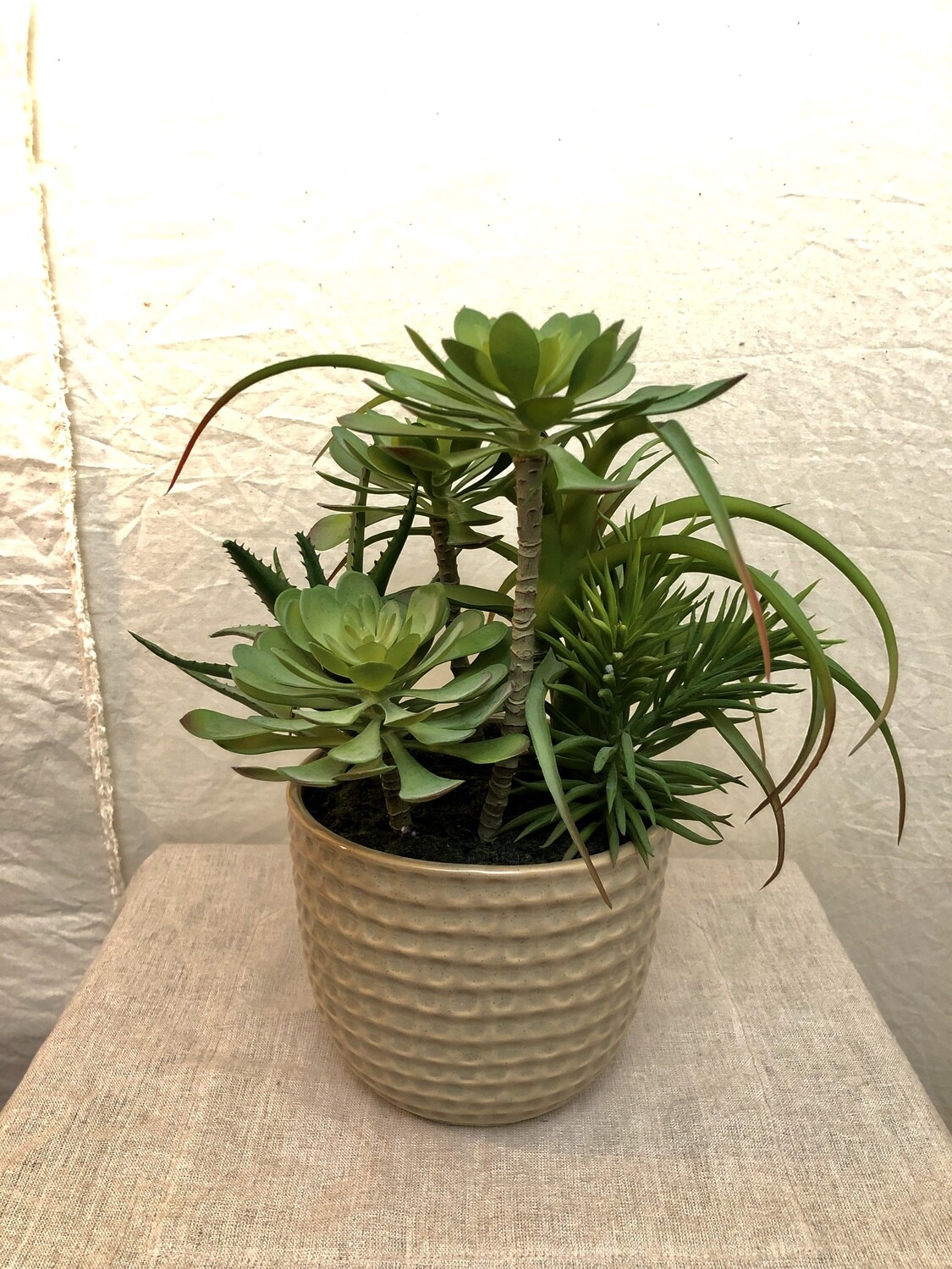 Mixed Artificial Succulents &amp; Air Plant in a Ceramic Pot