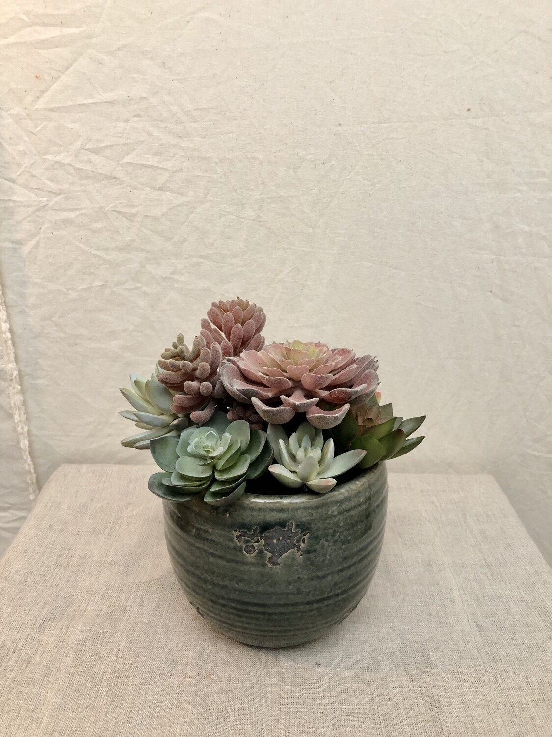 Mixed Artificial Succulents in a Grey Ceramic Pot