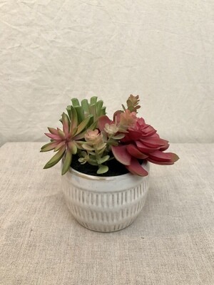 Mixed Colorful Artificial Succulents in Textured Ceramic Pot