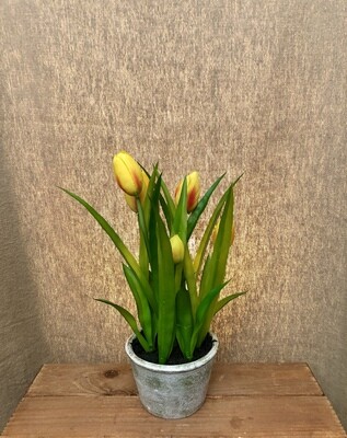 Tulip in Paper Mache Pot Yellow 13" Tulip in Paper Mache Pot Yellow 13"