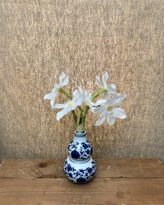 Narcissus in Ceramic Vase White 9.5" Narcissus in Ceramic Vase White 9.5"