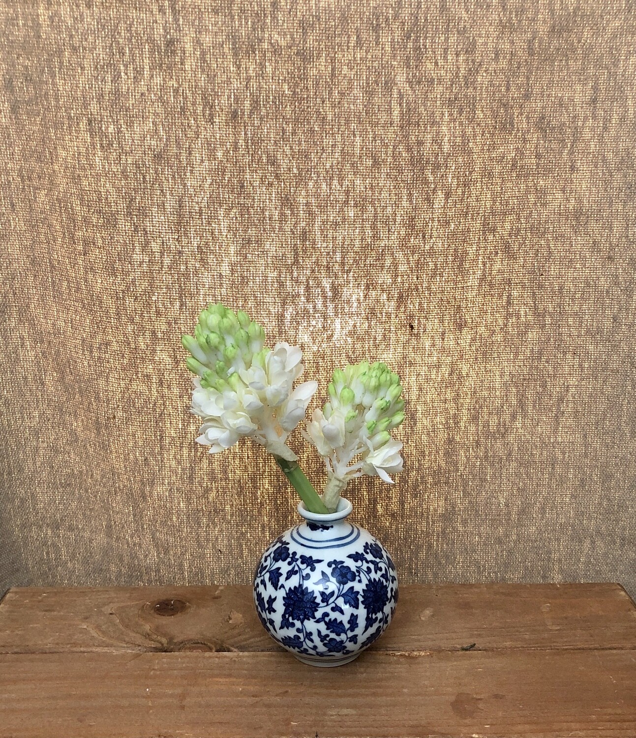 Hyacinth in Ceramic Vase White 8"