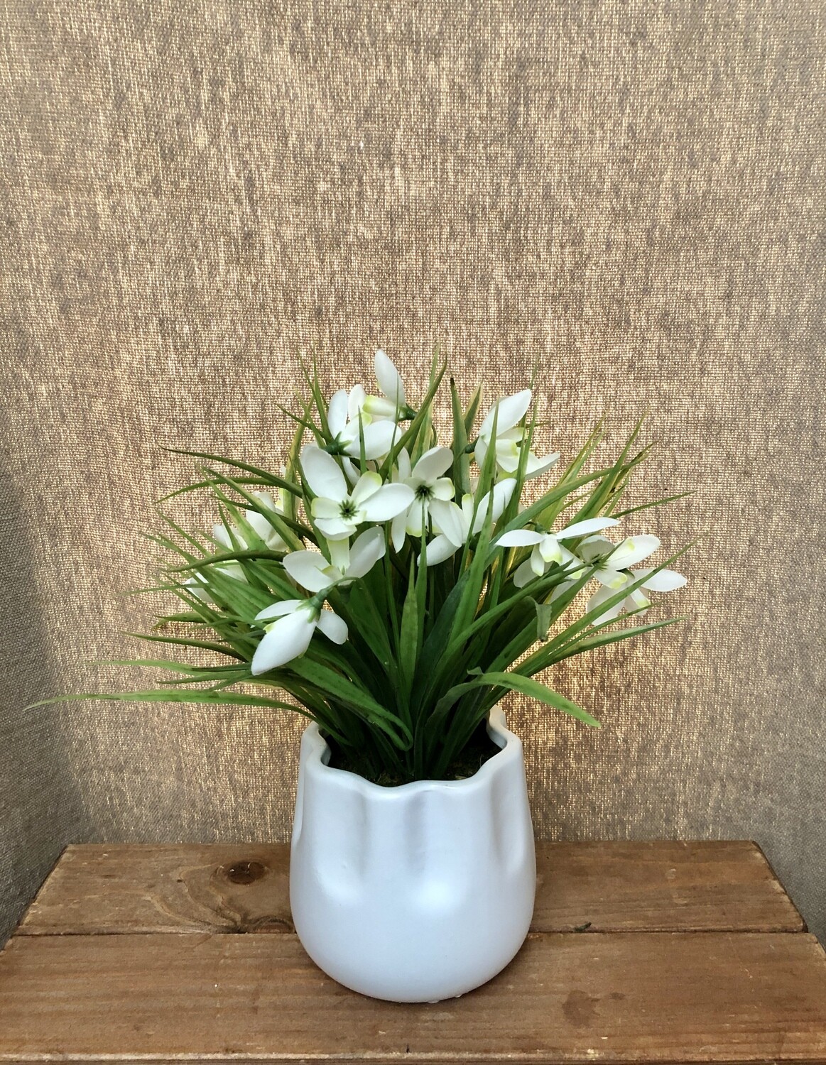 Snowdrop in Ceramic Vase White 11"