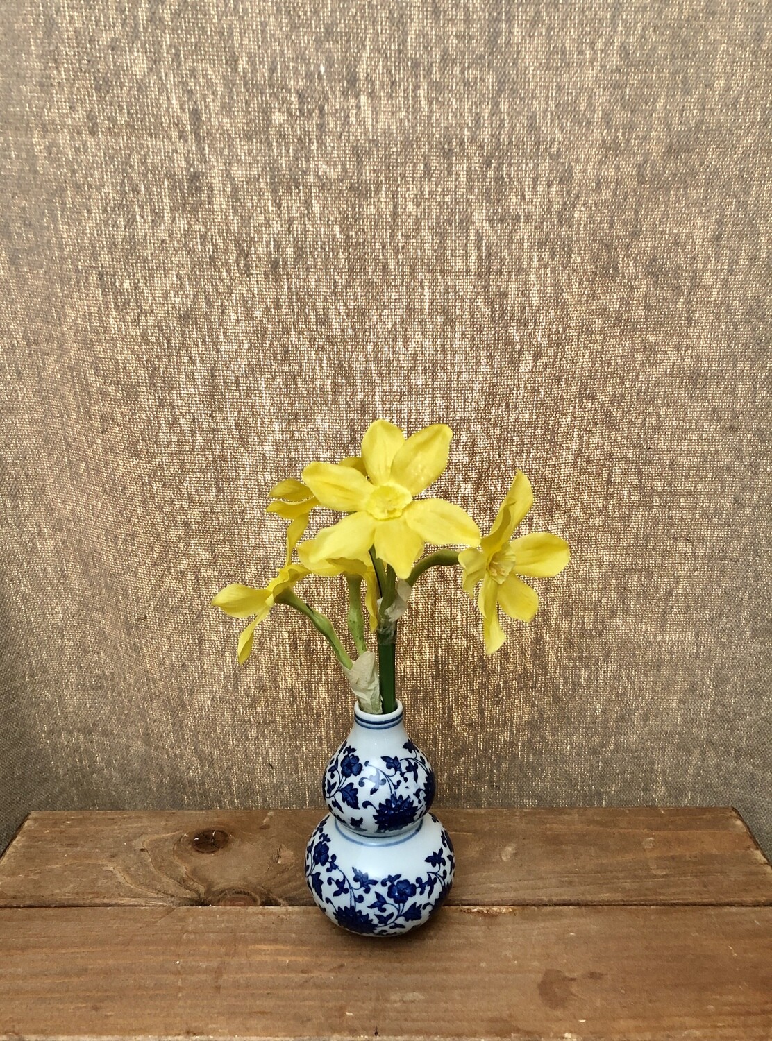 Narcissus in Ceramic Vase Yellow 9.5" Narcissus in Ceramic Vase Yellow 9.5"