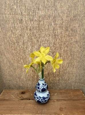 Narcissus in Ceramic Vase Yellow 9.5" Narcissus in Ceramic Vase Yellow 9.5"