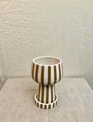 Mustard Strip Planter w/Saucer Sm