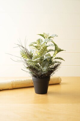 Artificial Dusty Miller Plant in Black Pot