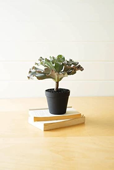 Artificial Succulent in Black Pot Artificial Succulent in Black Pot