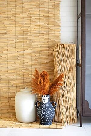 Reed Fence Reed Fence