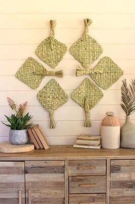 Seagrass Fan Seagrass Fan