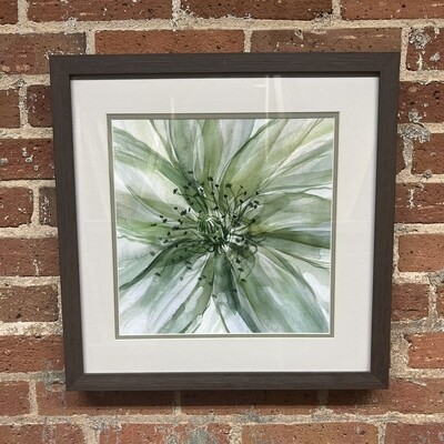 Macro Sage Flower II