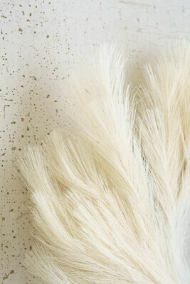 Pampas Wreath 22"D Pampas Wreath 22"D